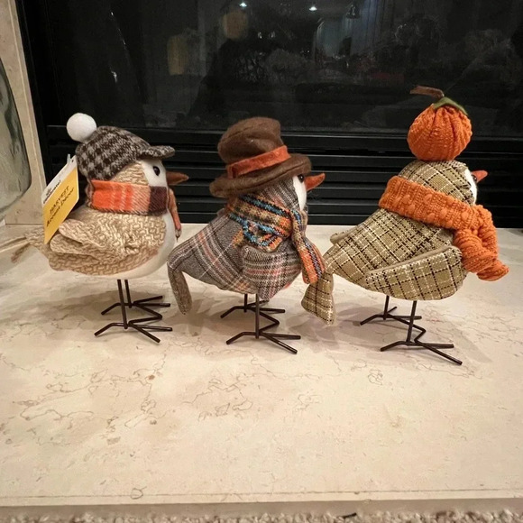 Set of 3 Walmart harvest fabric fall birds scarf glasses target inspired - Picture 5 of 7